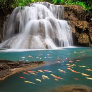 Meet your Posher, Su